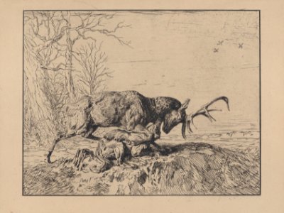 Stag Fighting a Wolf, after Antoine Louis Barye Met DP887232