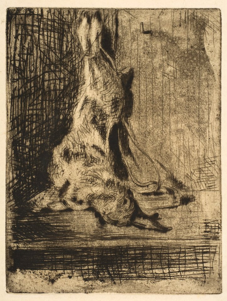 The Rabbit MET DP815317