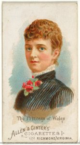The Princess of Wales, from World's Beauties, Series 1 (N26) for Allen & Ginter Cigarettes MET DP838123