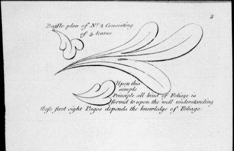 The Principles of Ornament, or the Youth's Guide to the Drawing of Foliage MET MM62845