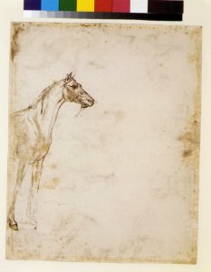 The Rescue of a Drowned Man (recto); Study of a Horse (verso) MET DR479