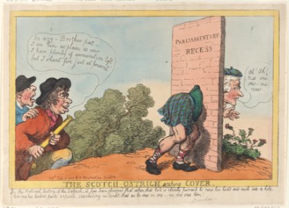 The Scotch Ostrich Seeking Cover Met DP884700