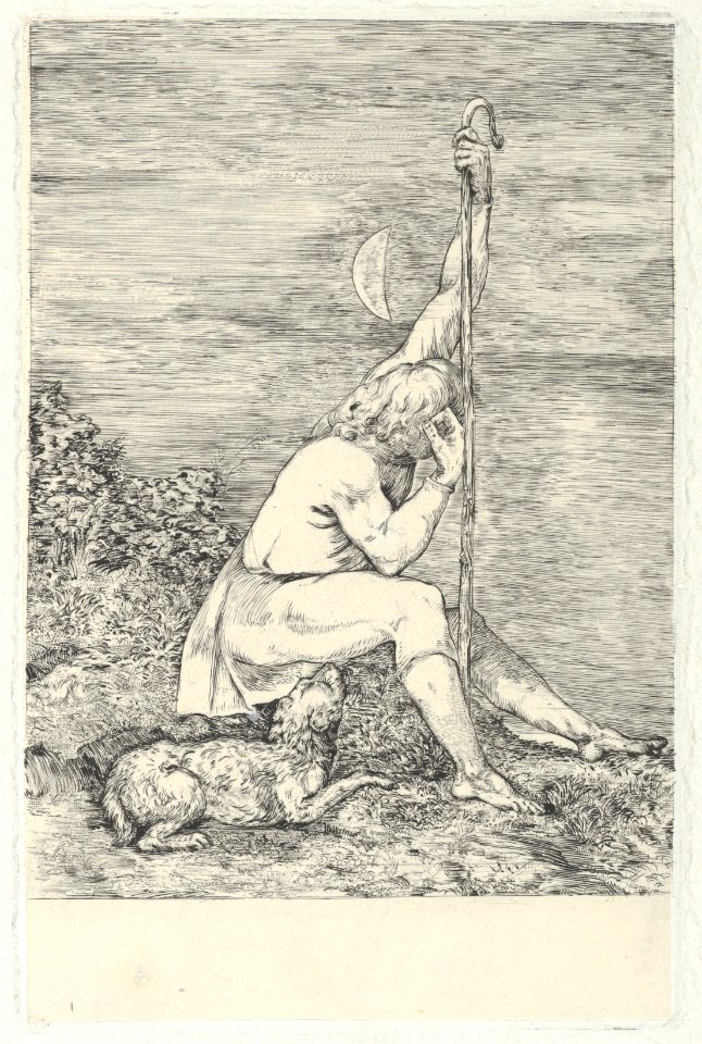 The Shepherd MET DP843398