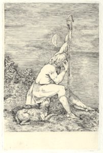 The Shepherd MET DP843398