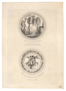 The shade of Napoleon visiting his tomb Met DP886299