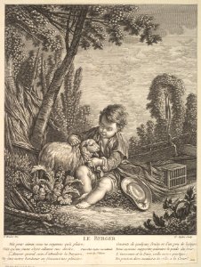The Shepherd MET DP826213