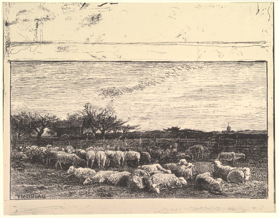 The Sheep Meadow MET DP822401