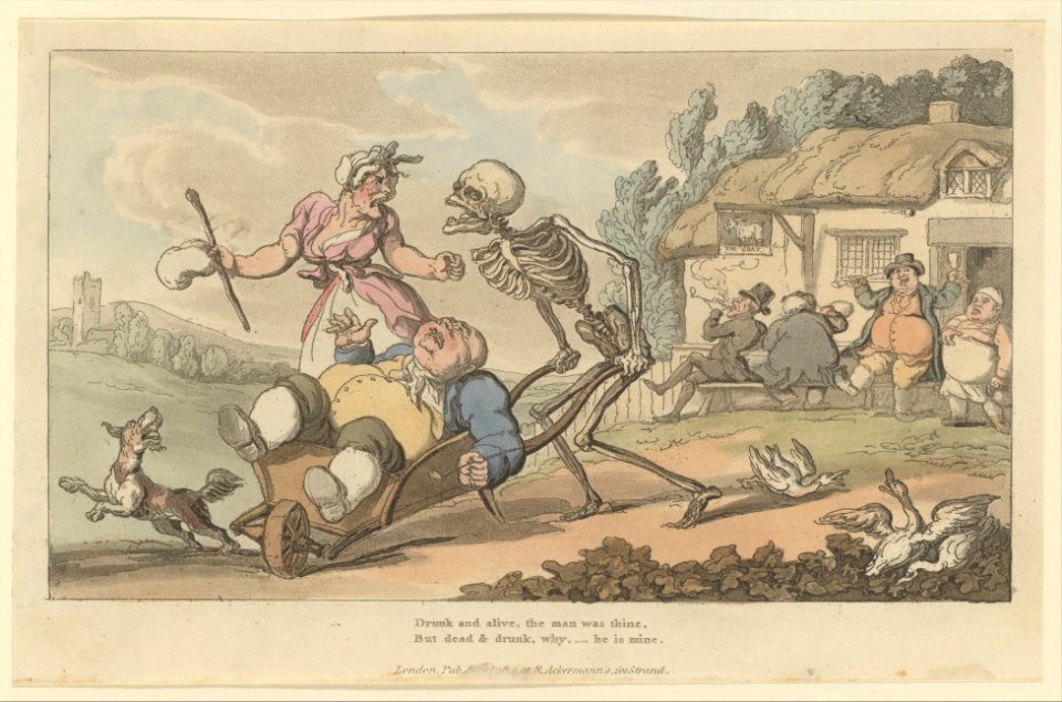 The Sot (The English Dance of Death, plate 12) MET DP223708