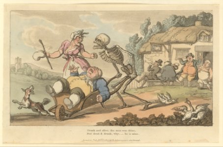 The Sot (The English Dance of Death, plate 12) MET DP223708