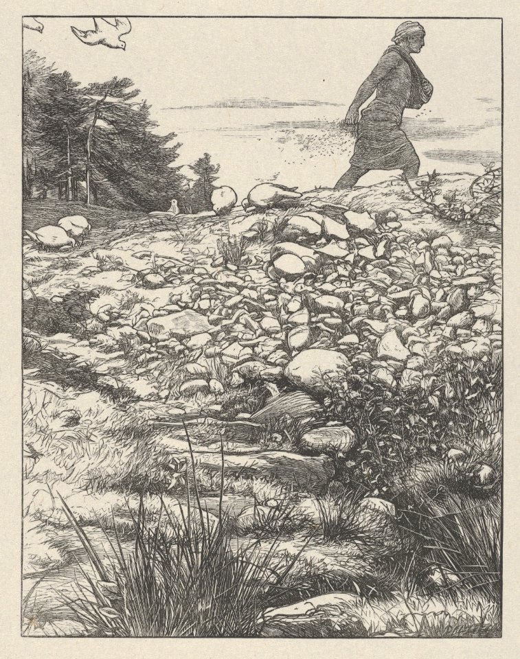 The Sower (The Parables of Our Lord and Saviour Jesus Christ) MET DP835795