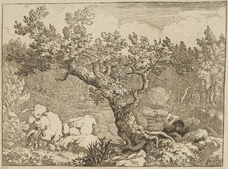 The Sportsman near the Large Tree MET DP837556