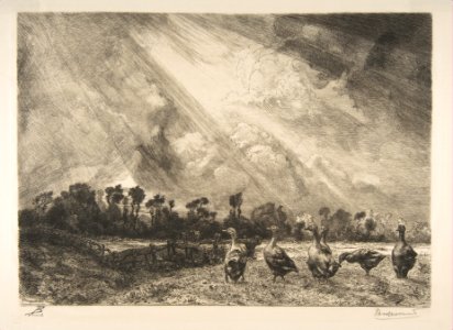 The Storm Cloud MET DP814162