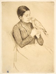 The Parrot MET DP815208