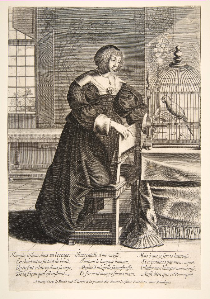 The Parrot MET DP818194