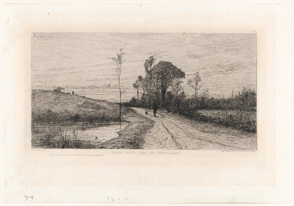 The New Pond Near Creys (Isère) MET DP874054