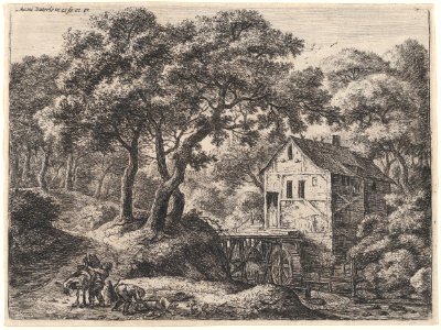 The Mill in the Woods MET DP876301
