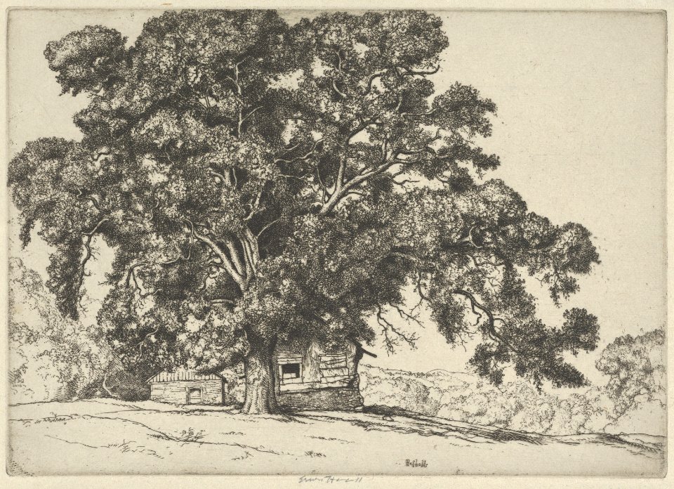 The Oak and the Adobe MET DP845704