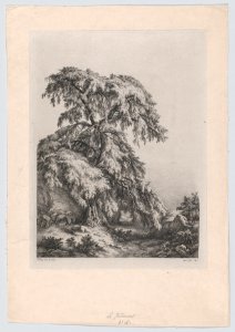 The Juniper Tree, Fontainbleu MET DP874291