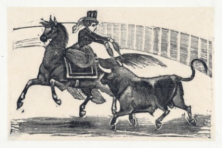 The lady bull fighter MET DP867999