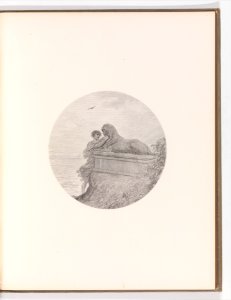 The Raven MET DP318411