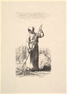 The Raker MET DP827596