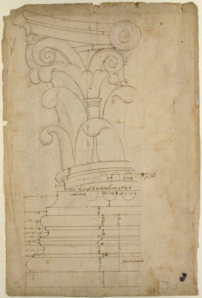 Temple of Minerva, elevation of cornice (recto) Temple of Minerva, elevation of capital and base (verso) MET 68.769.22verso