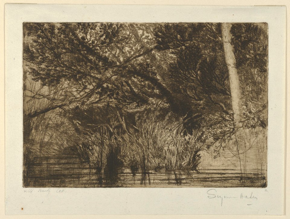The Mouth of a Brook, No. I MET DP842908