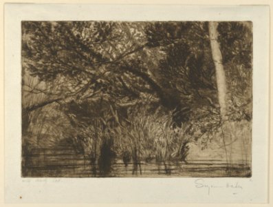 The Mouth of a Brook, No. I MET DP842908