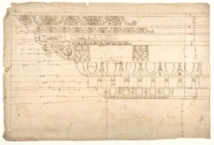 Temple of Minerva, elevation of cornice (recto) Temple of Minerva, elevation of capital and base (verso) MET DP810819
