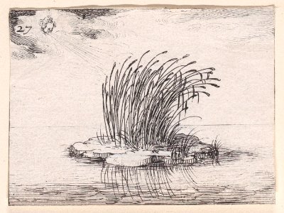 The Reed and The Wind Met DP890718