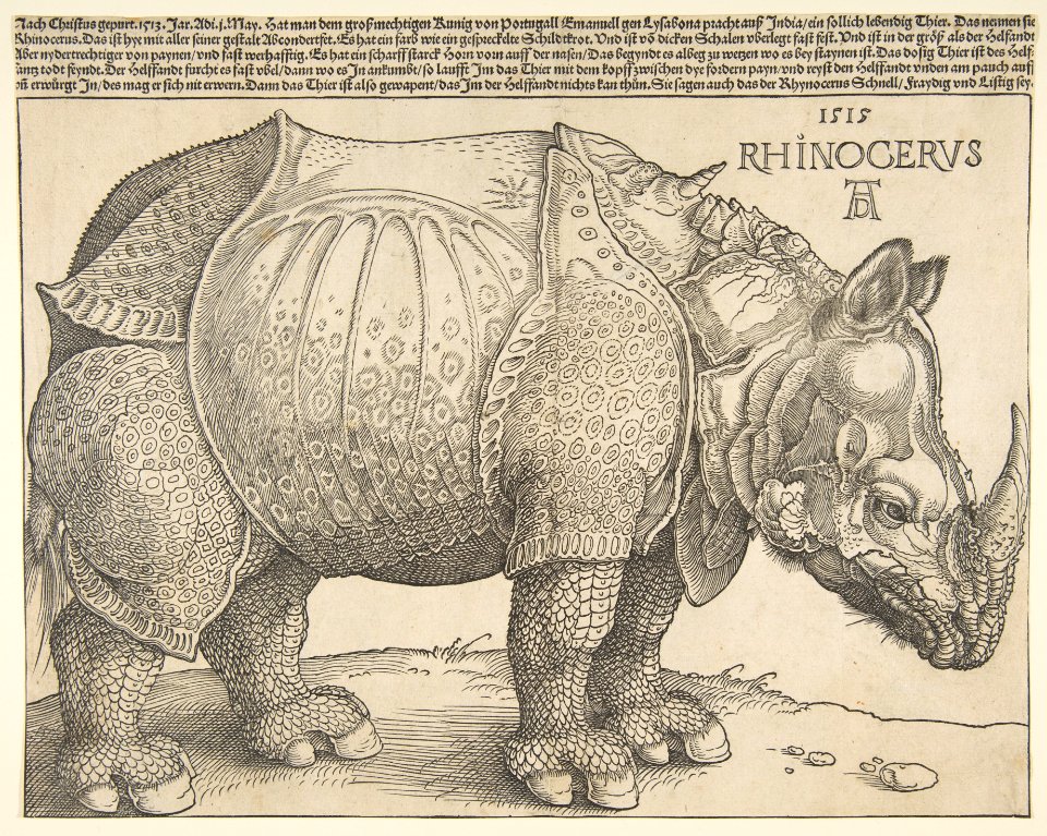 The Rhinoceros MET DP816484