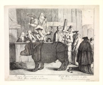 The Rhinoceros MET DP318559