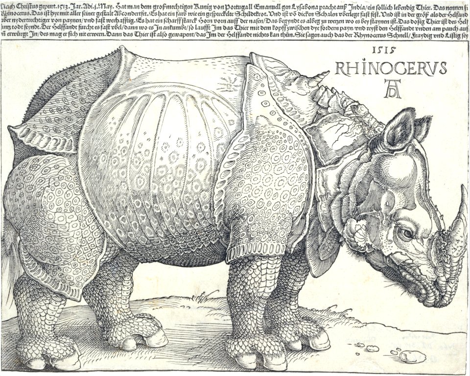 The Rhinoceros MET DT241450