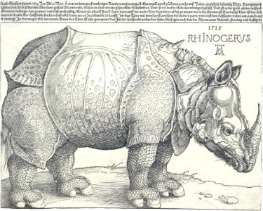 The Rhinoceros MET DT241450