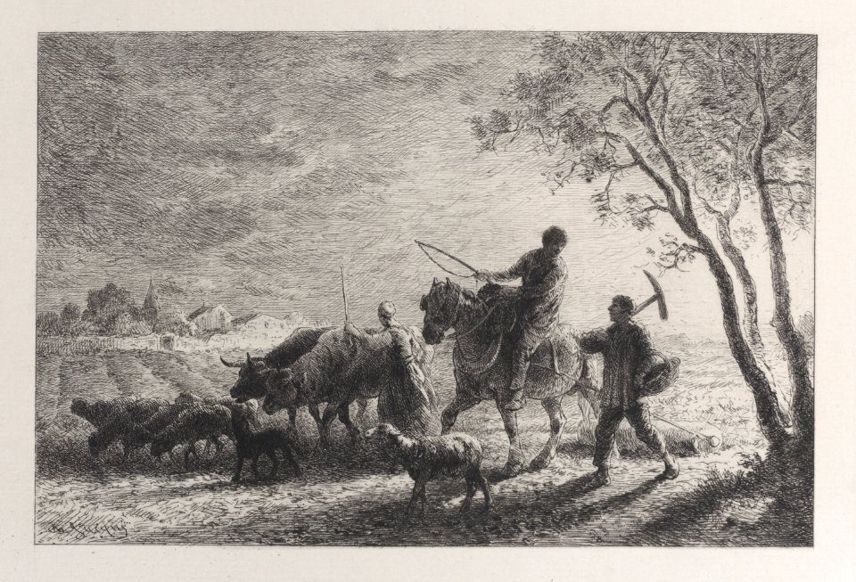 The Return from the Fields Met DP887018