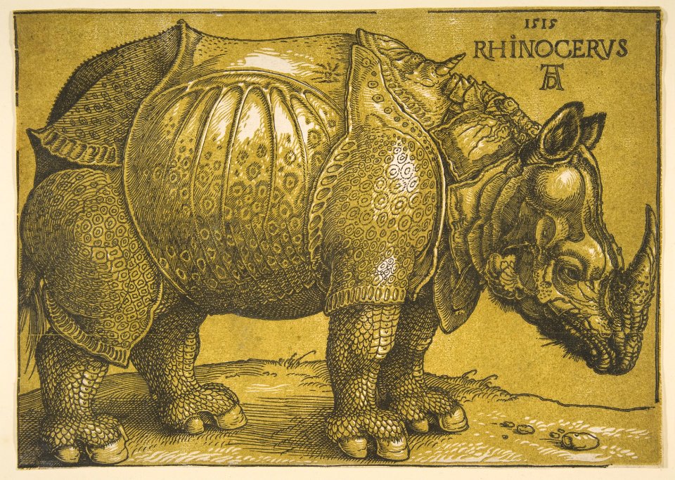 The Rhinoceros MET DP816483