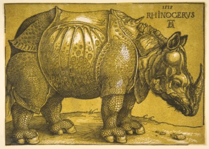 The Rhinoceros MET DP816483