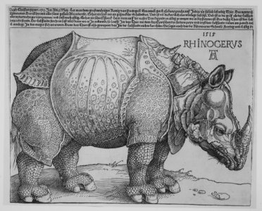 The Rhinoceros MET MM2134