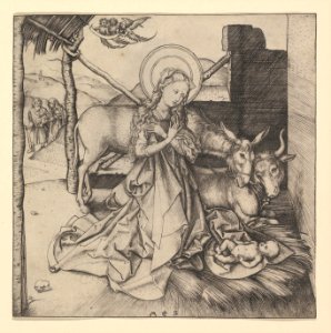 The Nativity MET DP819879