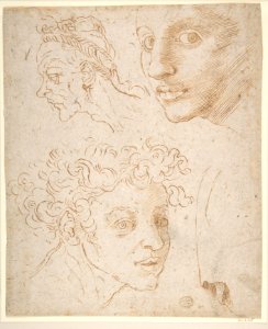 Three Heads after Michelangelo's Frescoes in the Sistine Chapel MET DP810672