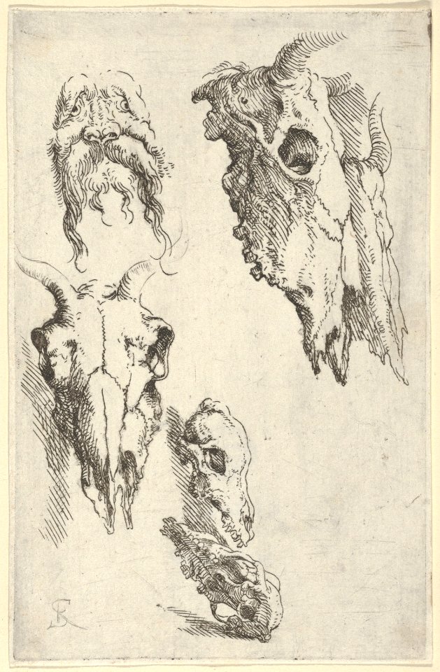 Three ox skulls, two horse skulls, and a grotesque head, study for "Democritus in Meditation" MET DP836193