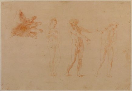 Three Nude Male Figures; Study of the Right Hand of the Figure on the Left MET 1975.131.5