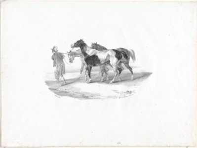 Three Horses Led by a Groom to be Skinned MET DP874605