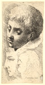 Three heads MET DP823698