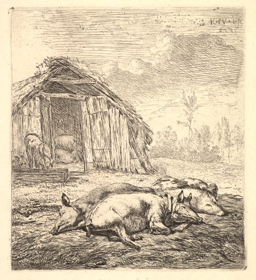Three pigs lying on their sides, a pigsty and trough beyond MET DP828259