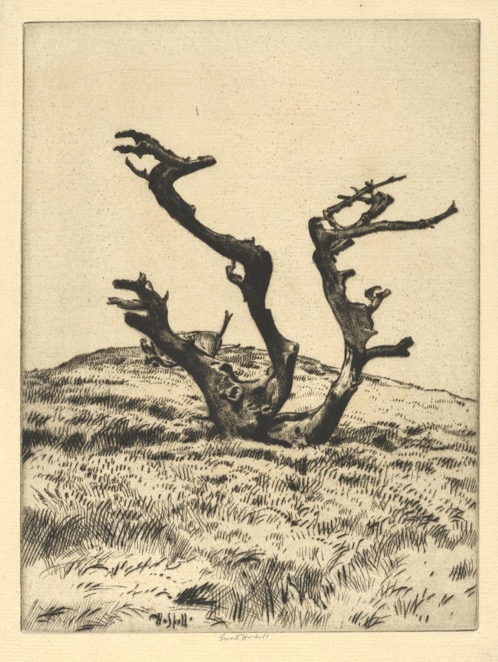 Three Witches MET DP846878
