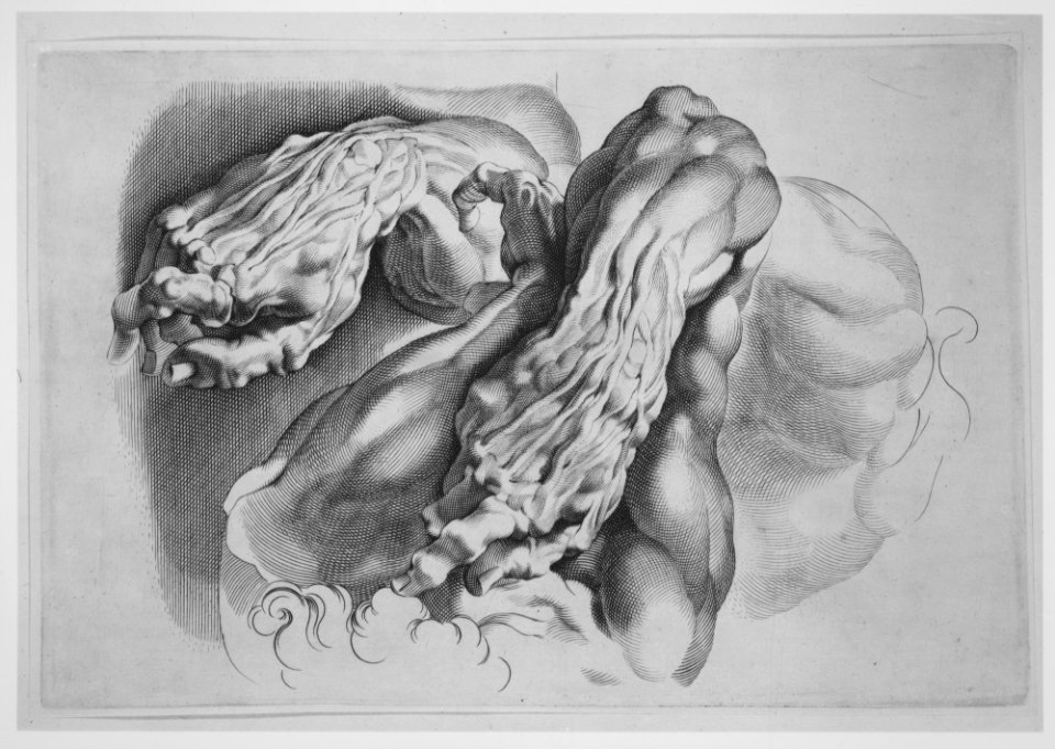 Three Studies of Écorchés MET MM71292
