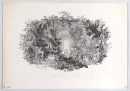 The Winter Garden Met DP884903