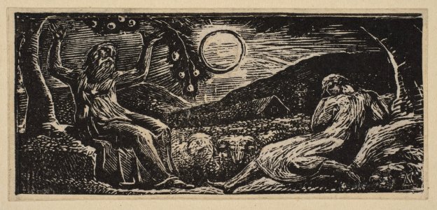 Thenot Under a Fruit Tree, from Thornton's Pastorals of Virgil MET DP816867