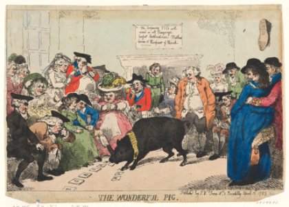 The Wonderful Pig MET DP871821